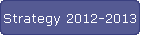 Strategy 2012-2013