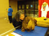 Stump Pictures038