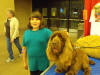 Stump Pictures048