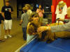 Stump Pictures051