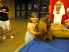 Stump Pictures052