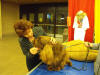 Stump Pictures060