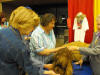 Stump Pictures065