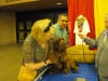 Stump Pictures088