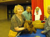 Stump Pictures089