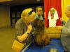 Stump Pictures090