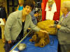 Stump Pictures0102