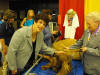 Stump Pictures0104